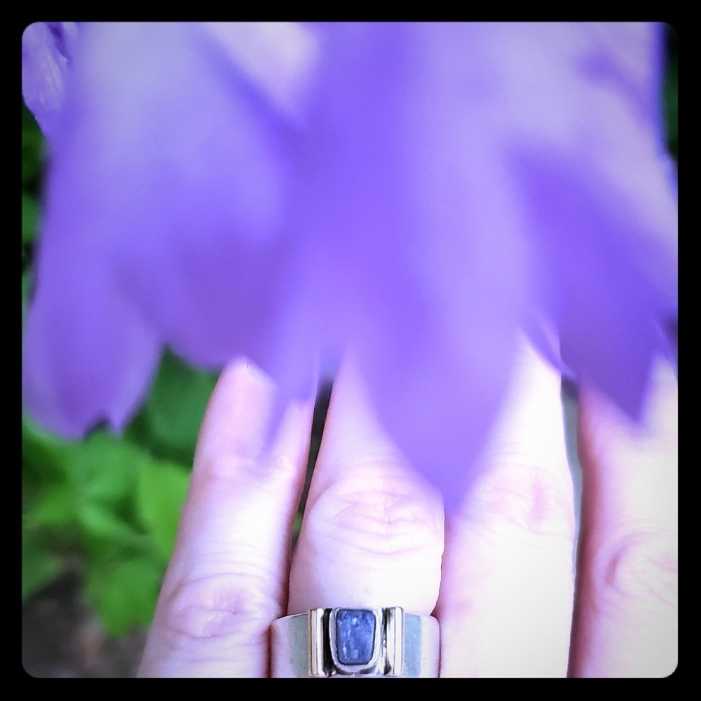 Tanzanite ring. Lilly Barrick ring designer.